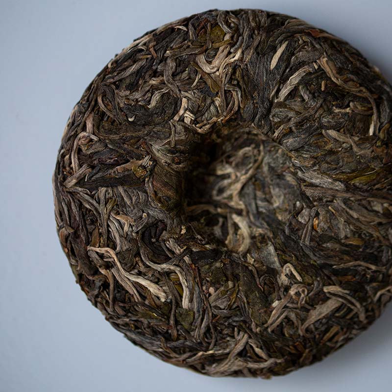 bitter end xtra 2019 laomane raw puer 8 | BITTERLEAF TEAS