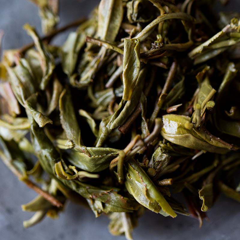 bitter end xtra 2019 laomane raw puer 9 | BITTERLEAF TEAS