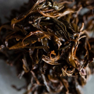 dark-forest-2019-gushu-dianhong-black-tea-7