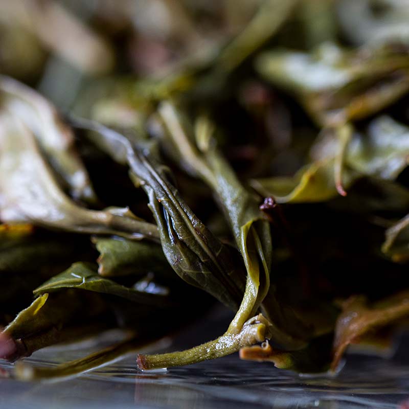 eden 2019 manzhuan raw puer 10 | BITTERLEAF TEAS