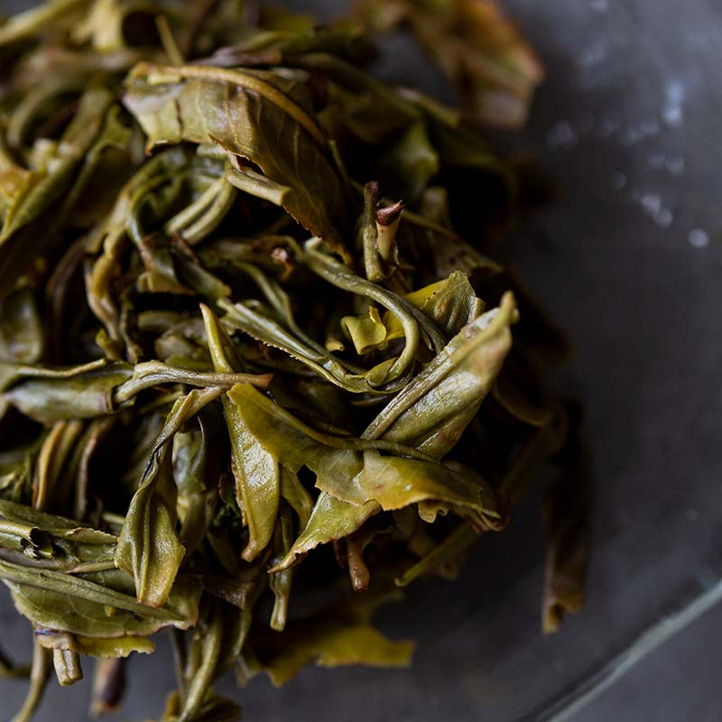 full frontal 2019 jingmai raw puer 9 | BITTERLEAF TEAS full frontal 2019 jingmai raw puer 9 | BITTERLEAF TEAS