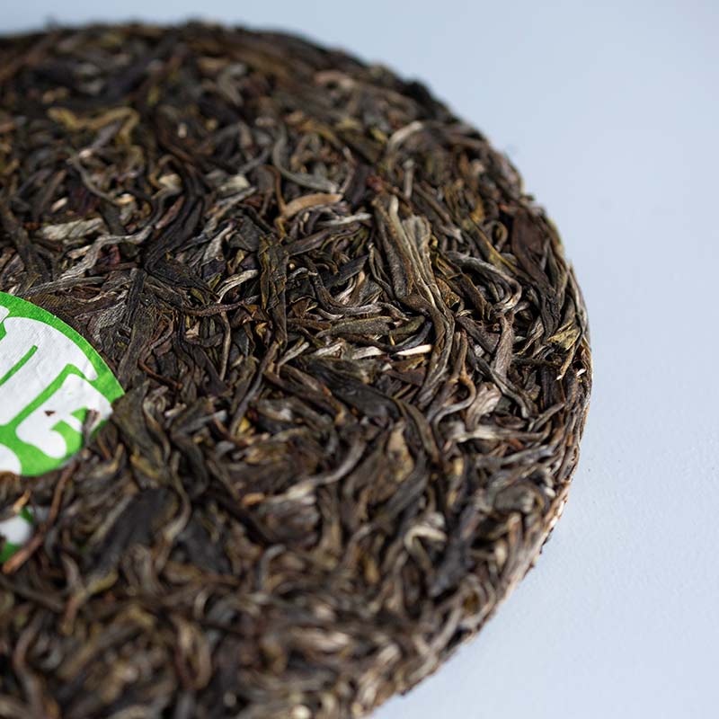monsieur lafleur 2019 jingmai raw puer 6 | BITTERLEAF TEAS monsieur lafleur 2019 jingmai raw puer 6 | BITTERLEAF TEAS