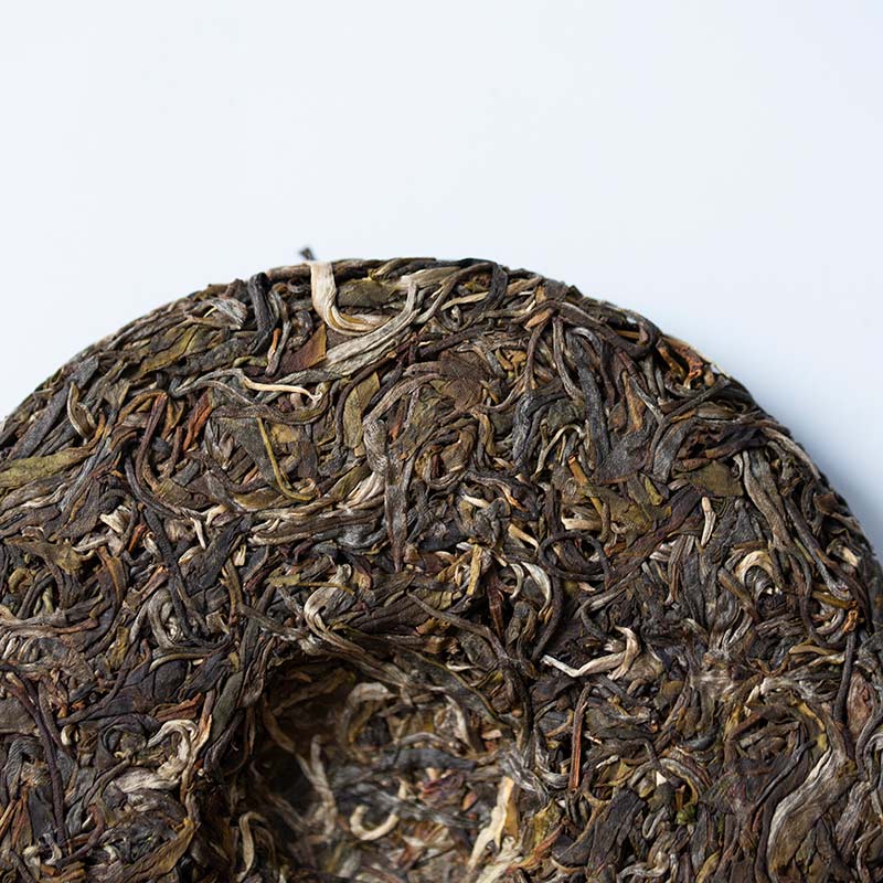 monsieur lafleur 2019 jingmai raw puer 8 | BITTERLEAF TEAS monsieur lafleur 2019 jingmai raw puer 8 | BITTERLEAF TEAS