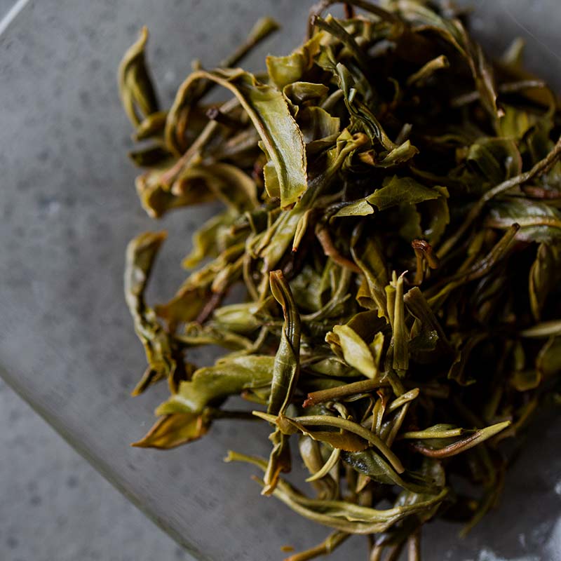 monsieur lafleur 2019 jingmai raw puer 9 | BITTERLEAF TEAS monsieur lafleur 2019 jingmai raw puer 9 | BITTERLEAF TEAS