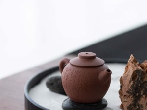 yixing zini julunzhu teapot 15 | BITTERLEAF TEAS