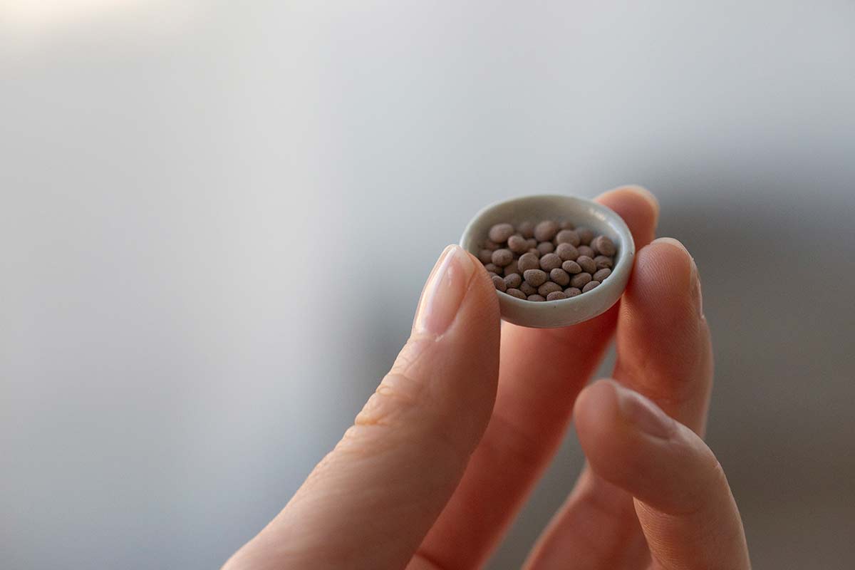 tea meowster tea pet costume 11 19 7 | BITTERLEAF TEAS tea meowster tea pet costume 11 19 7 | BITTERLEAF TEAS