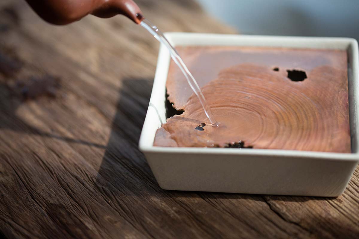 lucid tea tray square 1 | BITTERLEAF TEAS lucid tea tray square 1 | BITTERLEAF TEAS