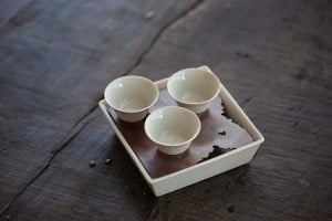 lucid-teacup-2