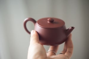 Chaozhou Da Hong Pao Clay Plinth Teapot