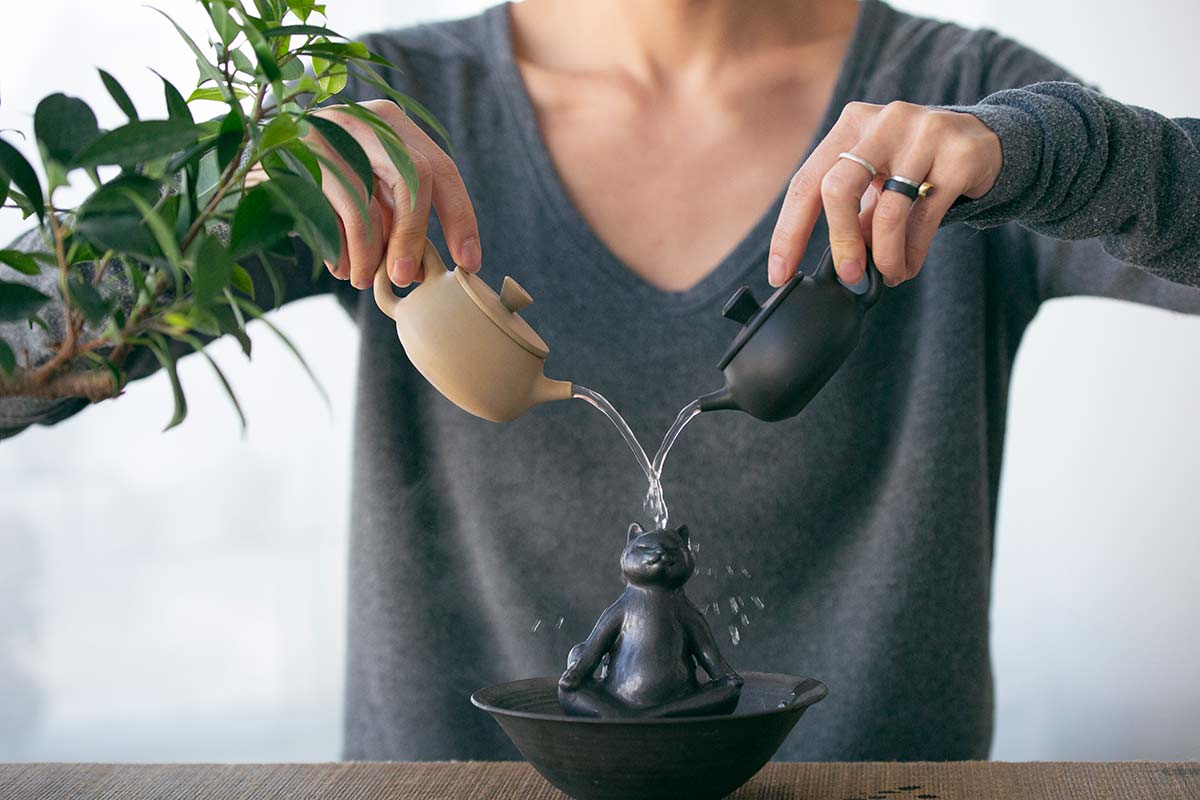 jianshui zitao teapot journeyman black 1 | BITTERLEAF TEAS