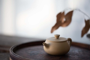 jianshui-zitao-teapot-journeyman-white-4