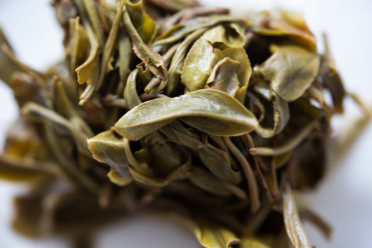 bonbon 2020 bangdong raw puer 10 | BITTERLEAF TEAS bonbon 2020 bangdong raw puer 10 | BITTERLEAF TEAS