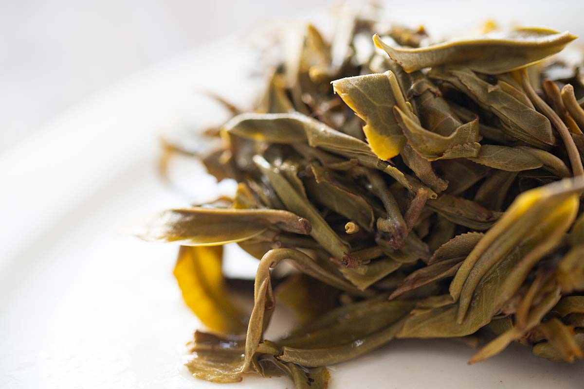 bonbon 2020 bangdong raw puer 11 | BITTERLEAF TEAS bonbon 2020 bangdong raw puer 11 | BITTERLEAF TEAS