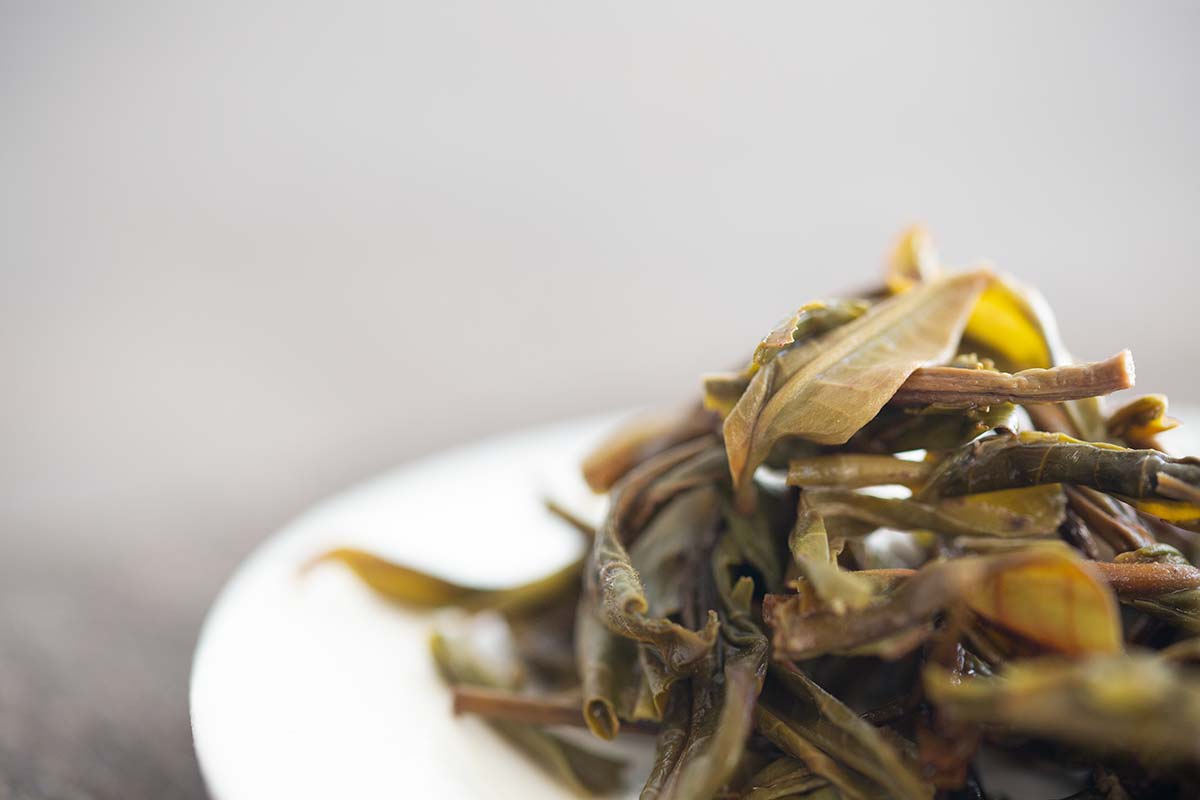 charmed 2020 lincang raw puer 10 | BITTERLEAF TEAS