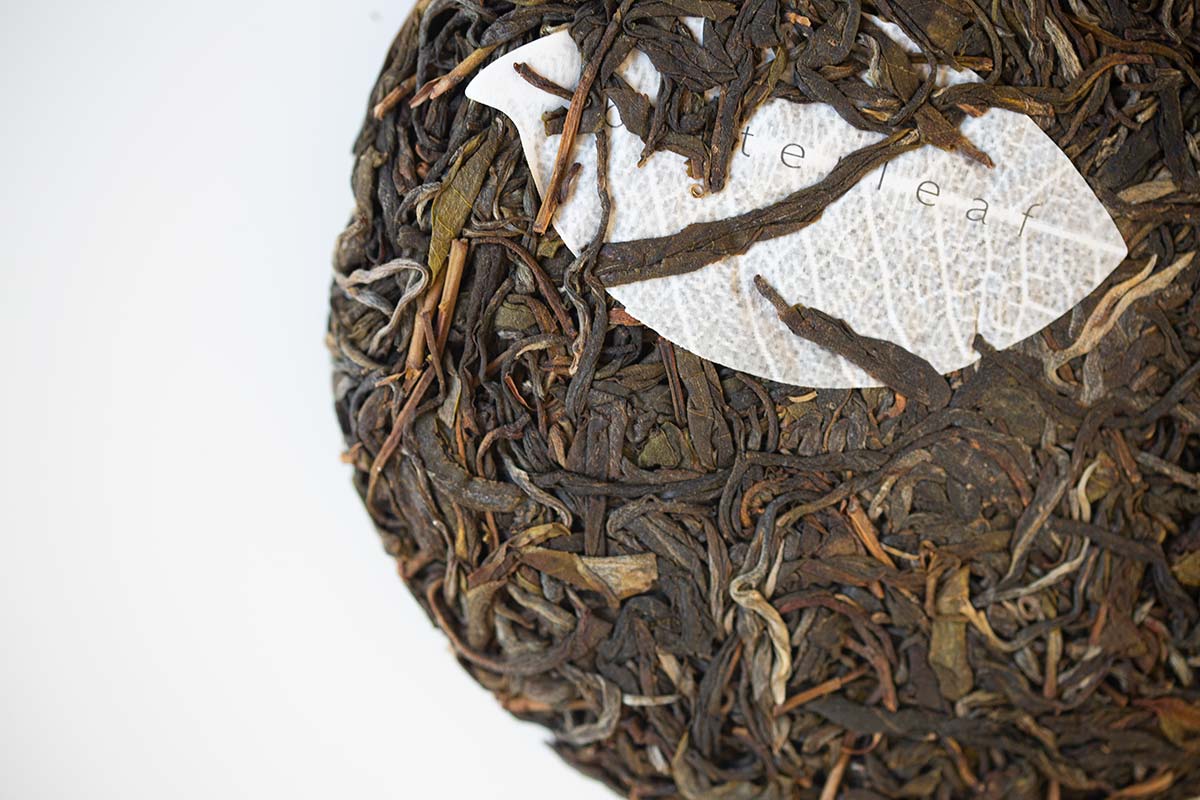 charmed 2020 lincang raw puer 6 | BITTERLEAF TEAS