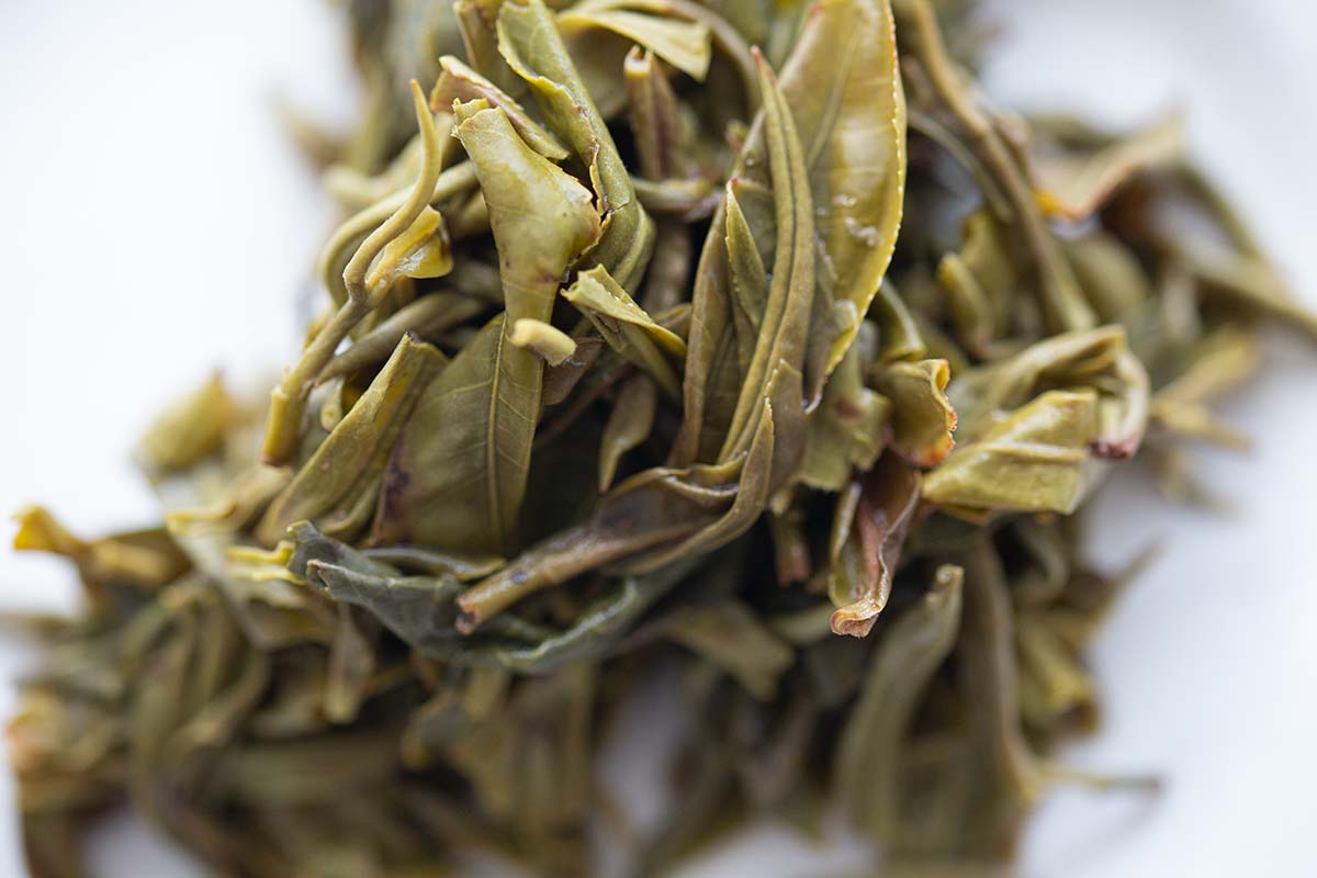 drink me 2020 nanmo raw puer 10 | BITTERLEAF TEAS drink me 2020 nanmo raw puer 10 | BITTERLEAF TEAS