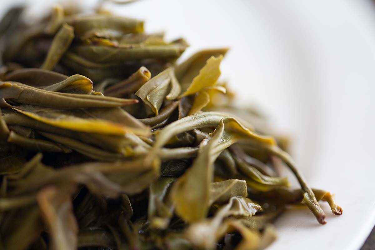 drink me 2020 nanmo raw puer 11 | BITTERLEAF TEAS drink me 2020 nanmo raw puer 11 | BITTERLEAF TEAS