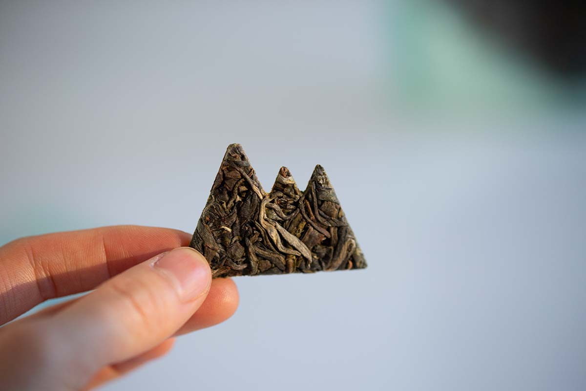 little mountain bloom 2020 jingmai raw puer 5 | BITTERLEAF TEAS little mountain bloom 2020 jingmai raw puer 5 | BITTERLEAF TEAS