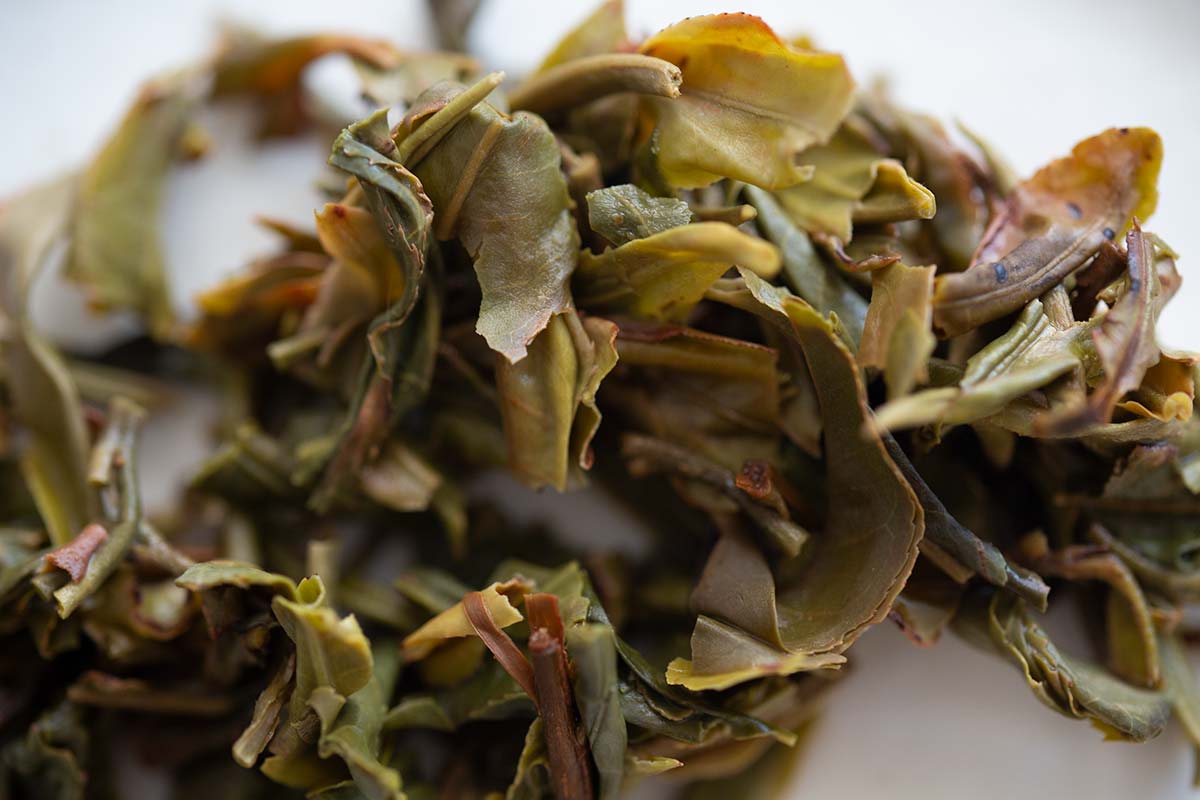 little mountain bloom 2020 jingmai raw puer 7 | BITTERLEAF TEAS little mountain bloom 2020 jingmai raw puer 7 | BITTERLEAF TEAS
