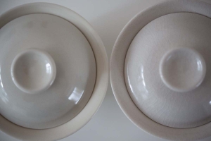 lucid-moon-gaiwan-compare