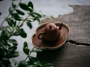 lucid tea tray haitang 13 | BITTERLEAF TEAS