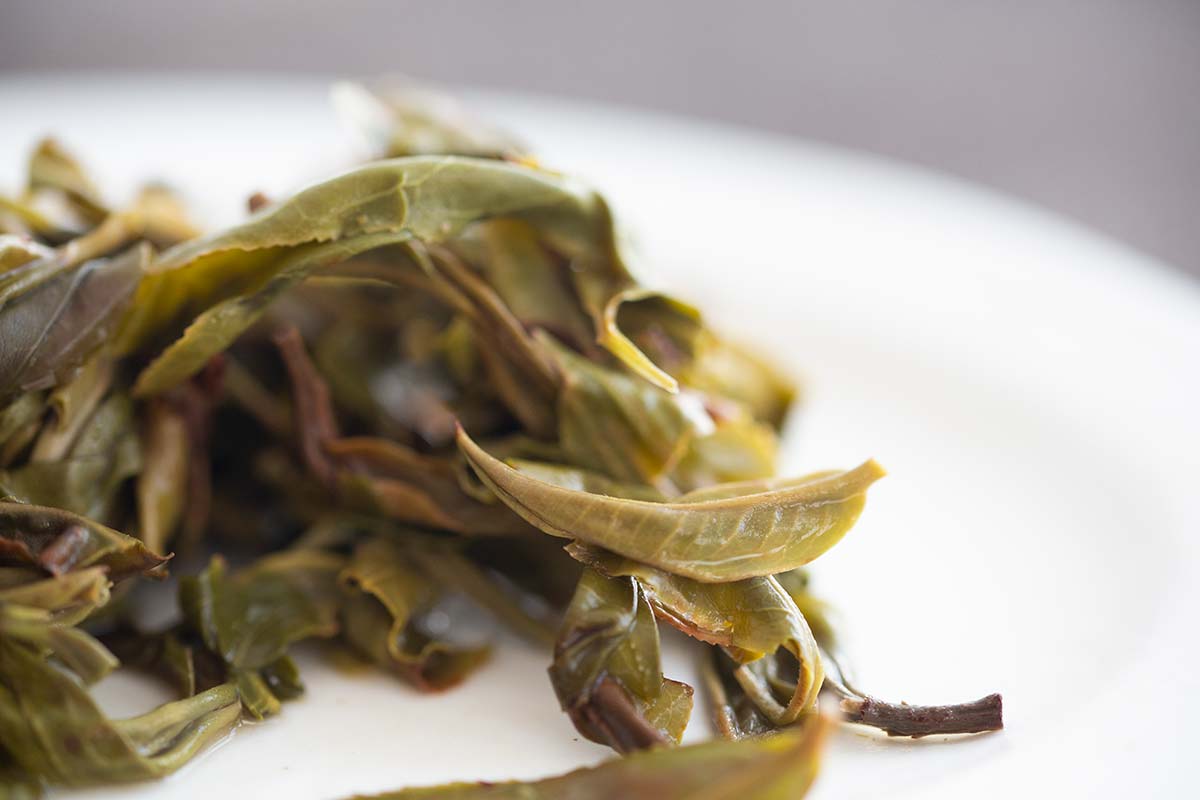 monsieur lafleur 2020 jingmai raw puer 11 | BITTERLEAF TEAS monsieur lafleur 2020 jingmai raw puer 11 | BITTERLEAF TEAS