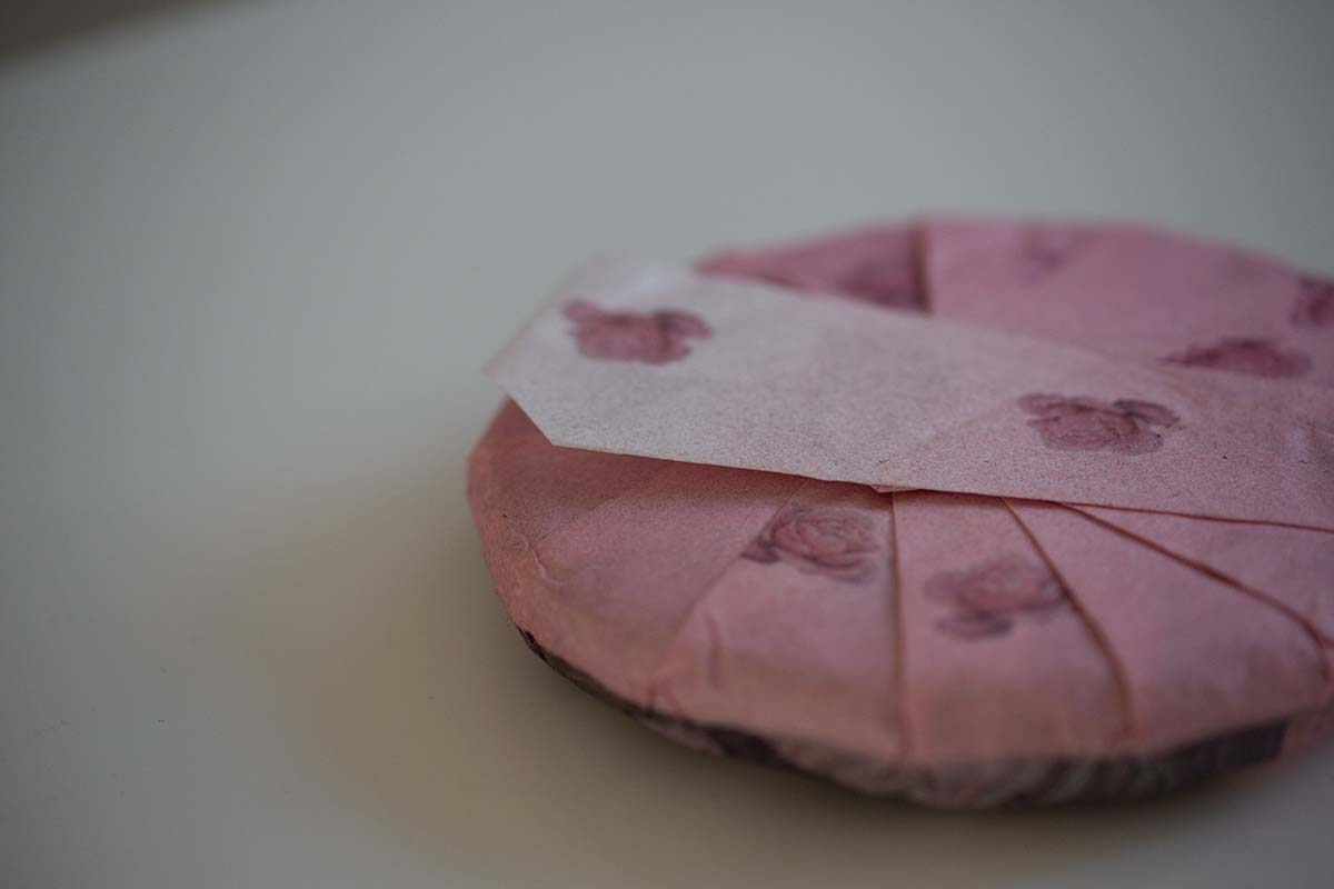 monsieur lafleur 2020 jingmai raw puer 4 | BITTERLEAF TEAS monsieur lafleur 2020 jingmai raw puer 4 | BITTERLEAF TEAS
