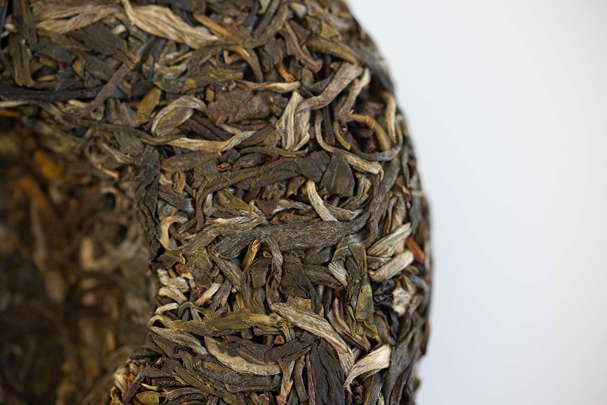 monsieur lafleur 2020 jingmai raw puer 6 | BITTERLEAF TEAS monsieur lafleur 2020 jingmai raw puer 6 | BITTERLEAF TEAS
