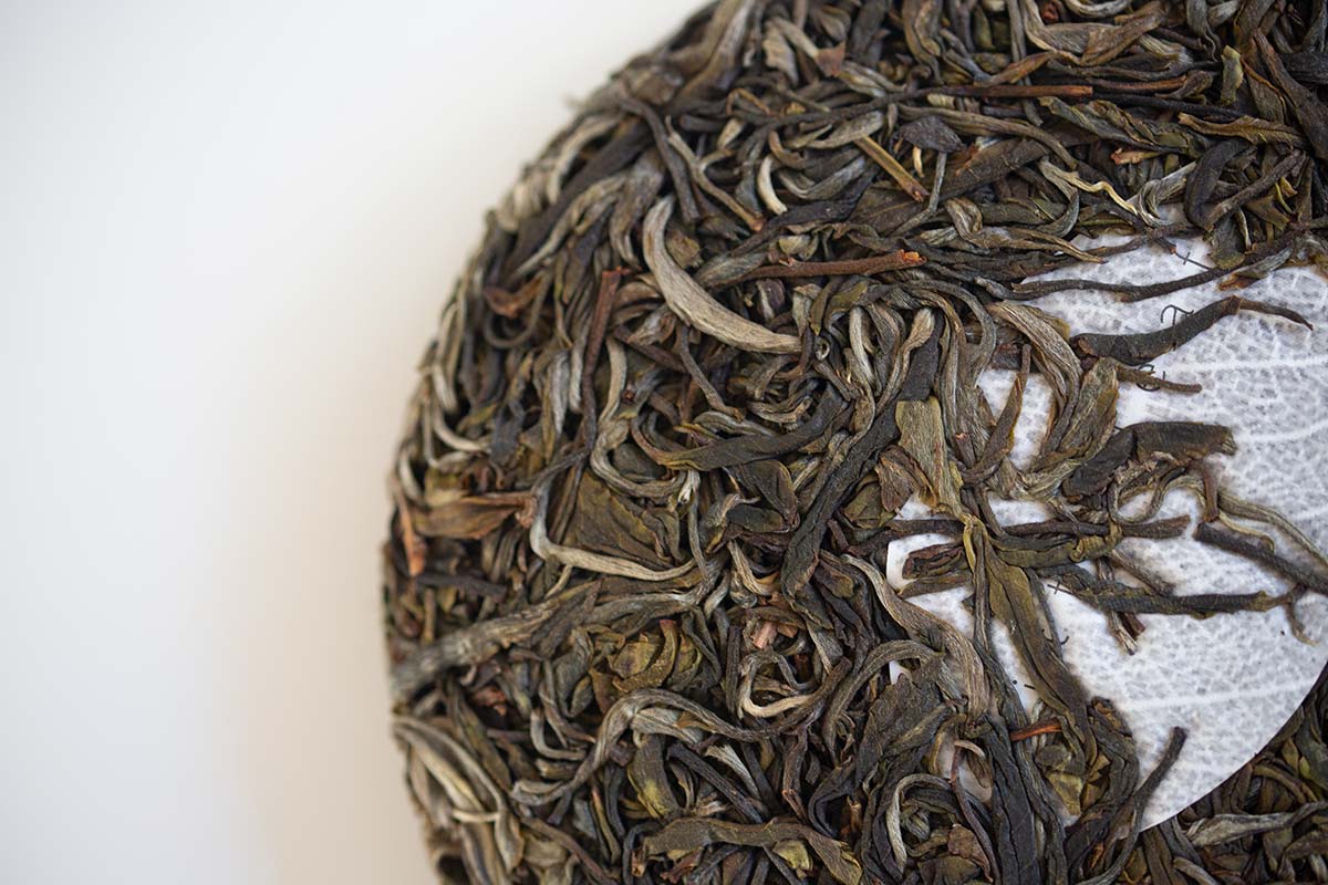monsieur lafleur 2020 jingmai raw puer 7 | BITTERLEAF TEAS monsieur lafleur 2020 jingmai raw puer 7 | BITTERLEAF TEAS