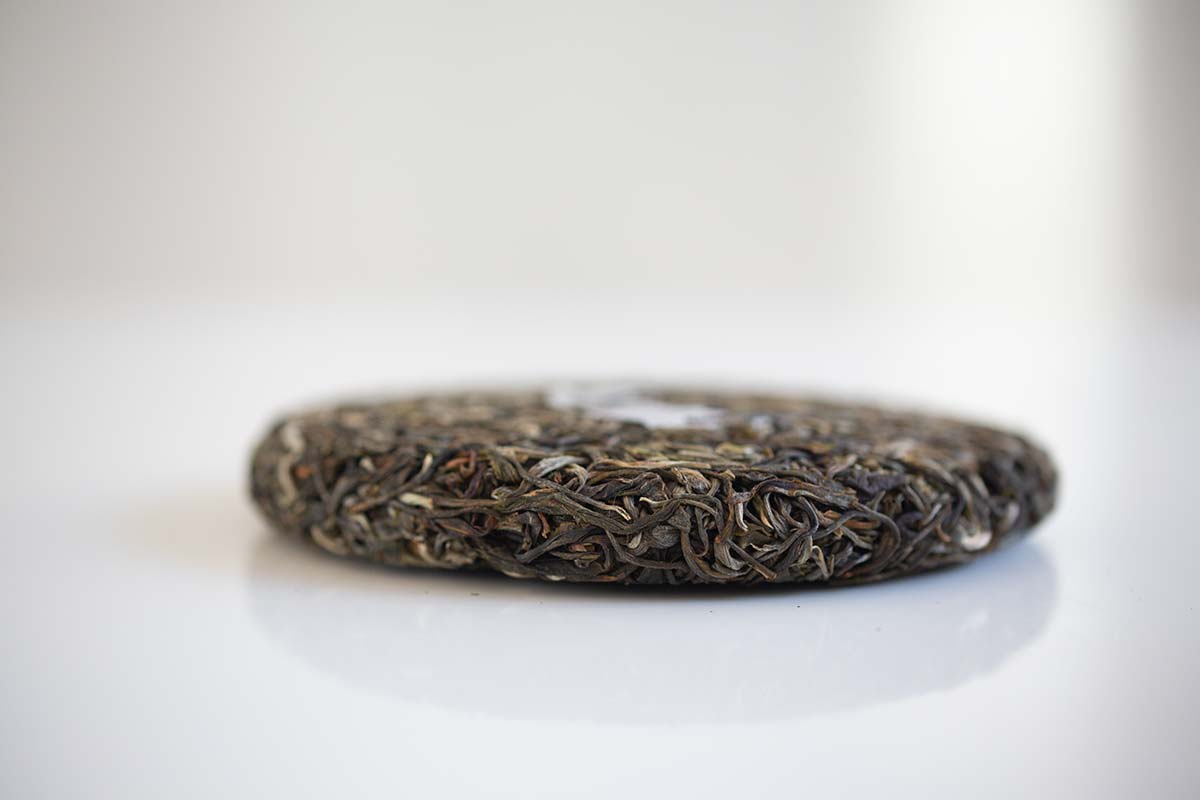 monsieur lafleur 2020 jingmai raw puer 8 | BITTERLEAF TEAS monsieur lafleur 2020 jingmai raw puer 8 | BITTERLEAF TEAS