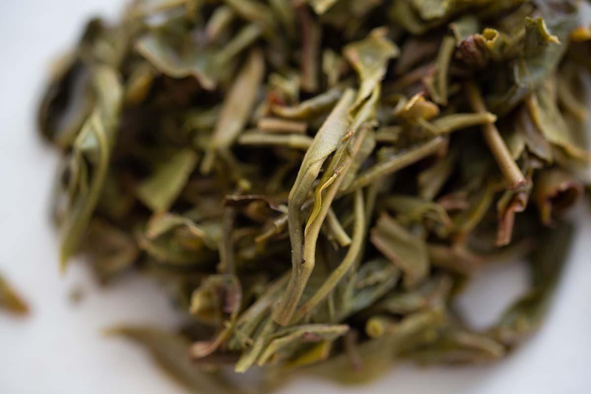 oh deer 2020 kunlu raw puer 9 | BITTERLEAF TEAS oh deer 2020 kunlu raw puer 9 | BITTERLEAF TEAS