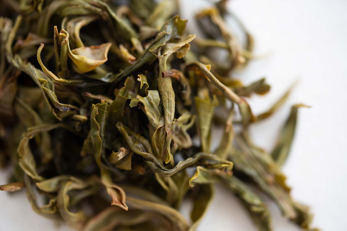 plum beauty 2020 mengsong raw puer 10 | BITTERLEAF TEAS