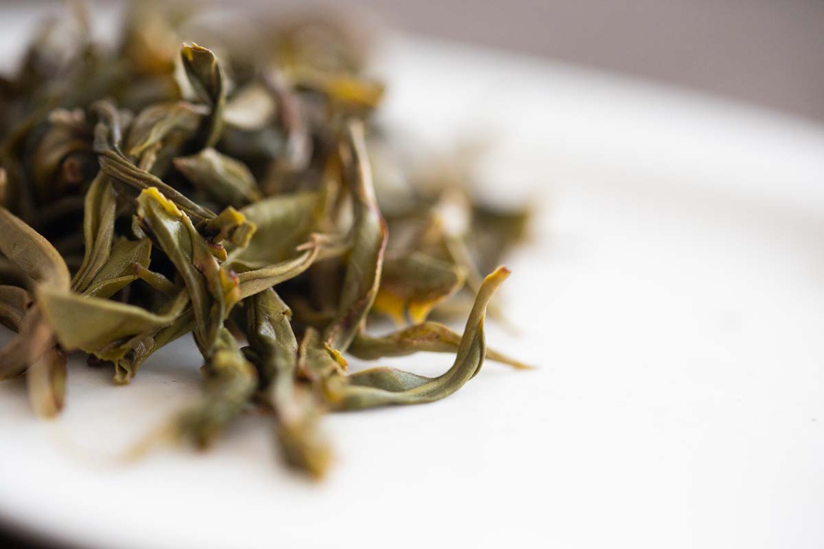 plum beauty 2020 mengsong raw puer 11 | BITTERLEAF TEAS