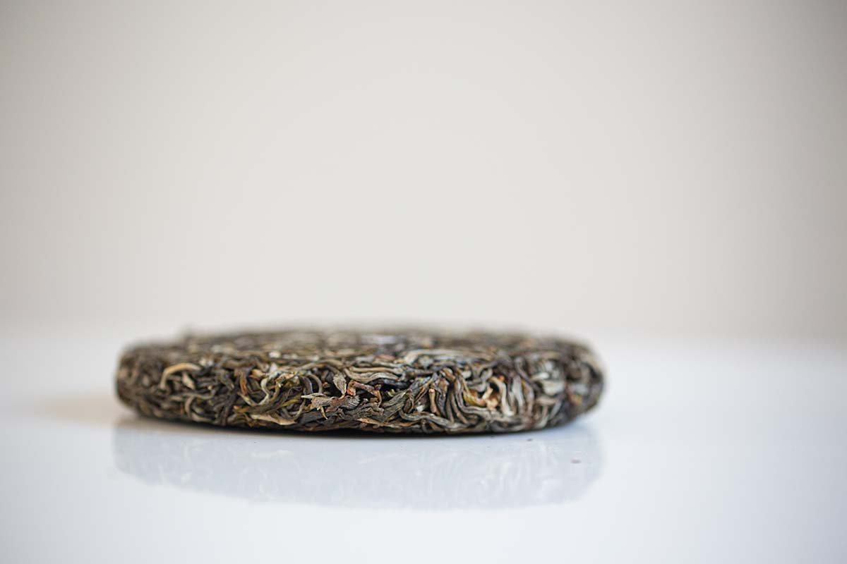 resistance 2020 nanmo raw puer 10 | BITTERLEAF TEAS resistance 2020 nanmo raw puer 10 | BITTERLEAF TEAS