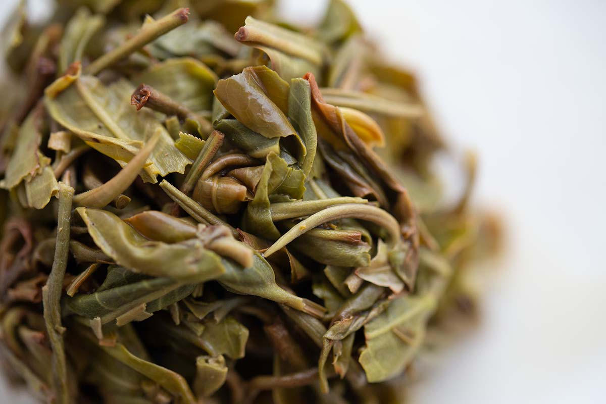 resistance 2020 nanmo raw puer 12 | BITTERLEAF TEAS resistance 2020 nanmo raw puer 12 | BITTERLEAF TEAS