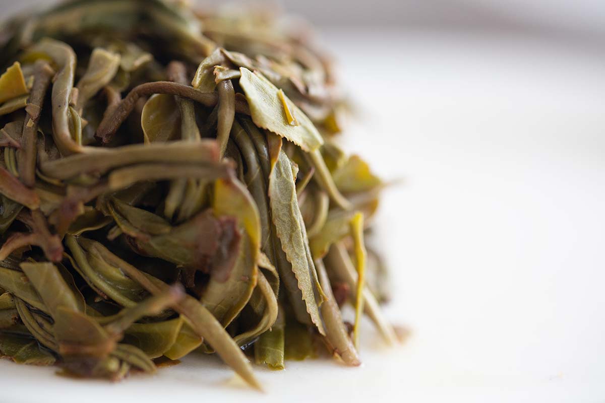 resistance 2020 nanmo raw puer 13 | BITTERLEAF TEAS resistance 2020 nanmo raw puer 13 | BITTERLEAF TEAS