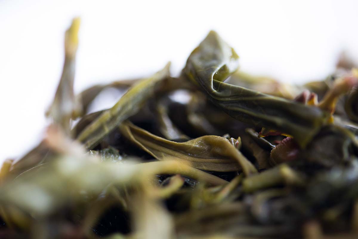 year of the rat 2020 yiwu raw puer 11 | BITTERLEAF TEAS year of the rat 2020 yiwu raw puer 11 | BITTERLEAF TEAS