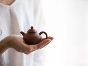 chaozhou clay duoqiu teapot 3 | BITTERLEAF TEAS
