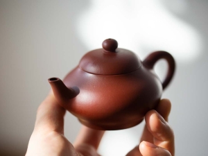 chaozhou clay mengchen teapot 1 6 | BITTERLEAF TEAS