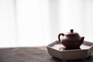 chaozhou-clay-mengchen-teapot-1-7