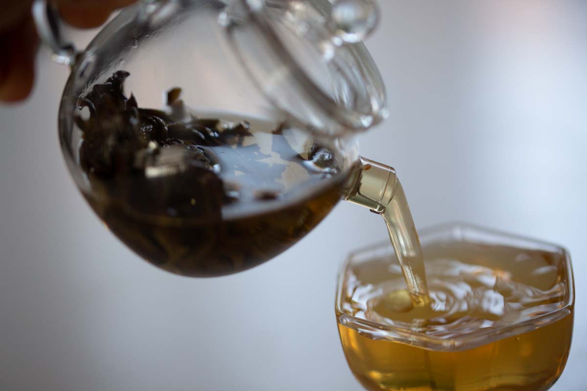 julunzhu glass teapot 3 | BITTERLEAF TEAS julunzhu glass teapot 3 | BITTERLEAF TEAS