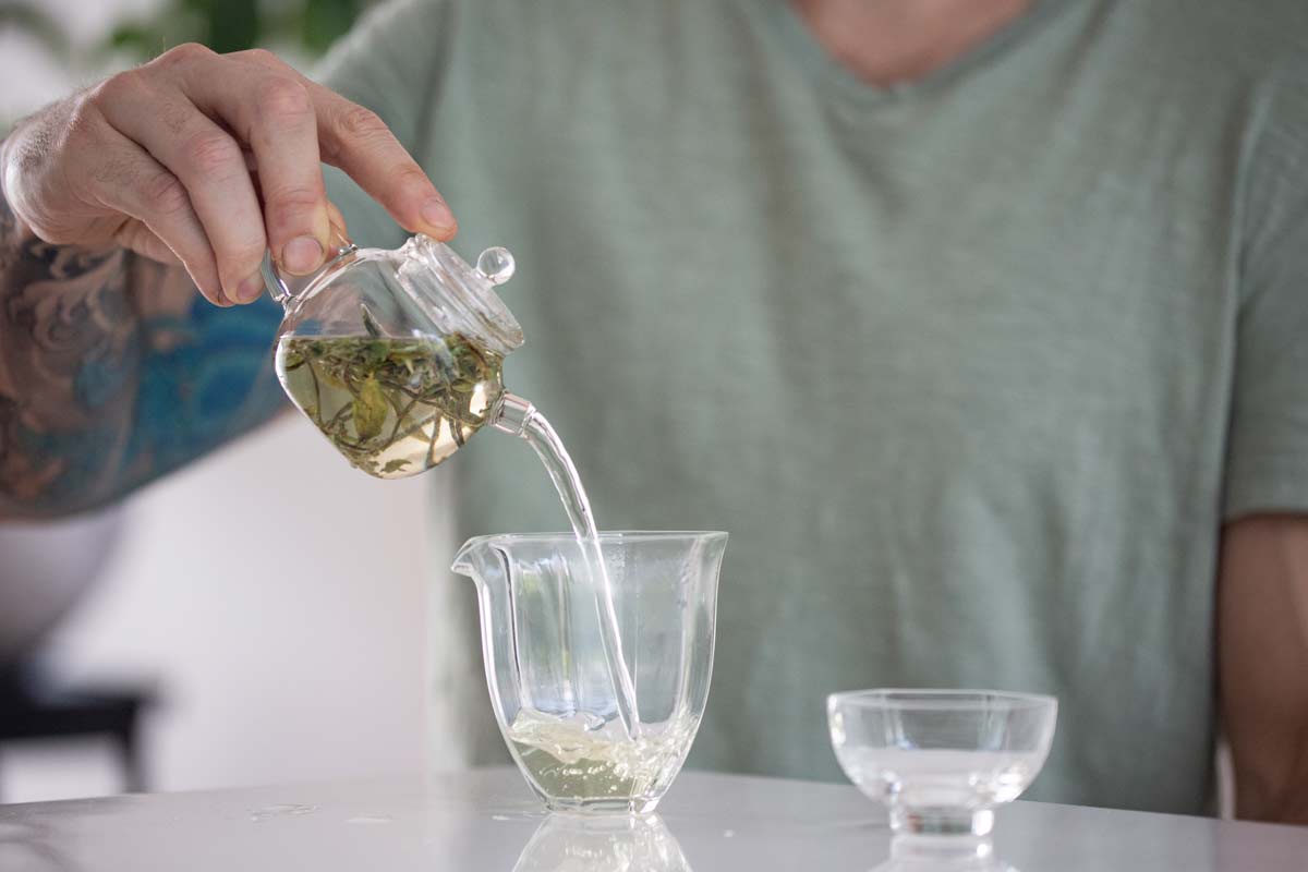julunzhu glass teapot 8 | BITTERLEAF TEAS julunzhu glass teapot 8 | BITTERLEAF TEAS