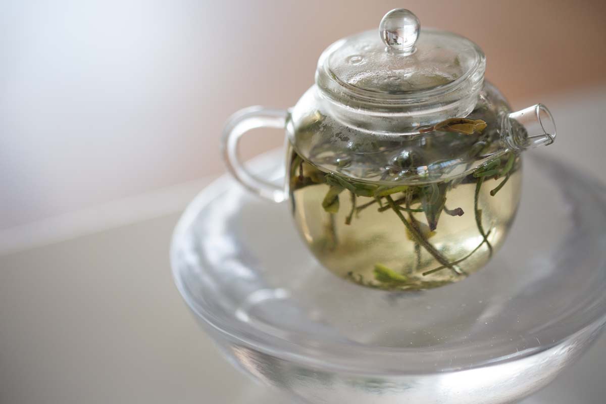 julunzhu glass teapot 9 | BITTERLEAF TEAS julunzhu glass teapot 9 | BITTERLEAF TEAS
