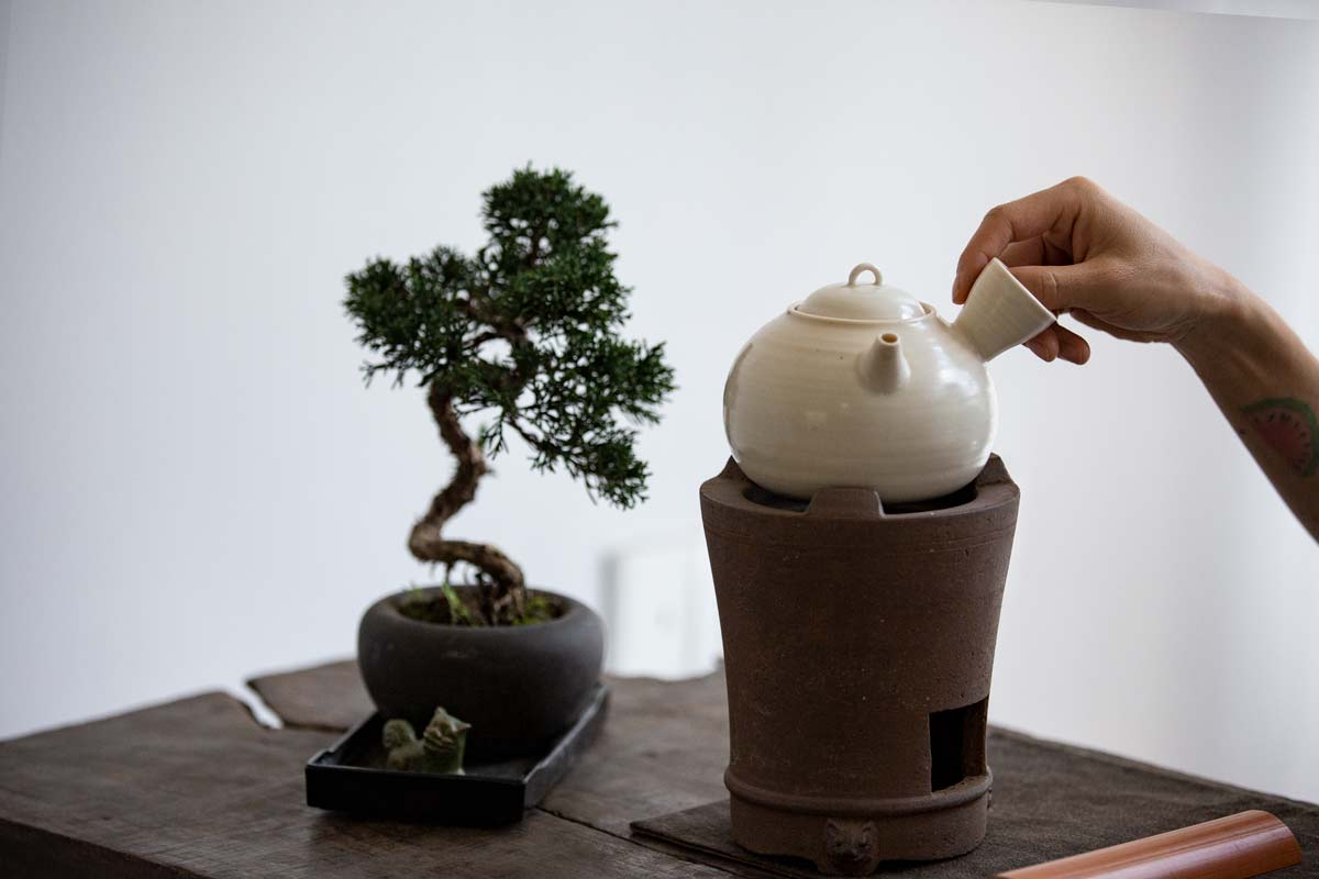 lucid boiler 3 | BITTERLEAF TEAS lucid boiler 3 | BITTERLEAF TEAS