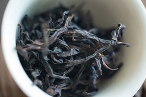 nectar-2020-milan-xiang-dancong-oolong-2