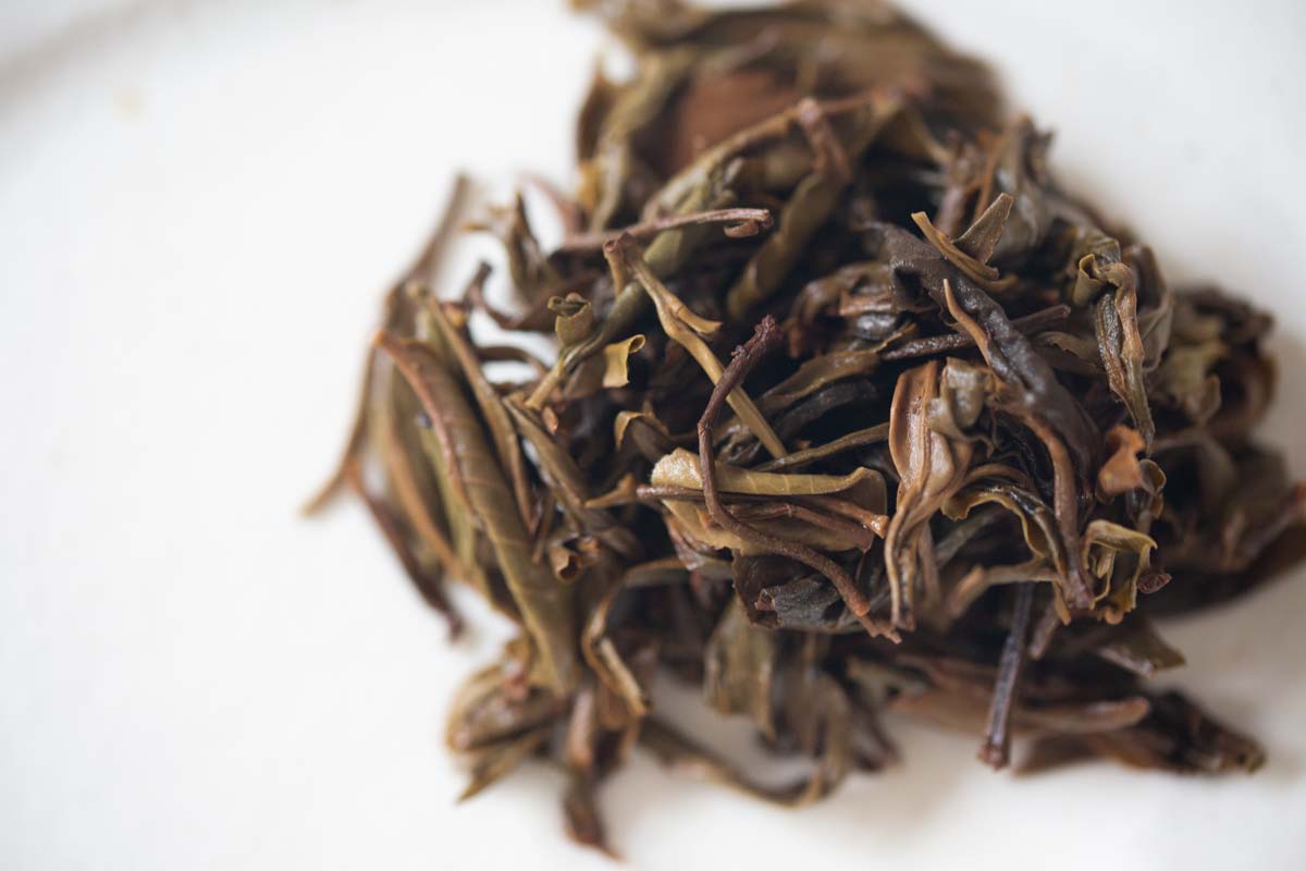 greatest hits gushu sheng puer tea 12 | BITTERLEAF TEAS