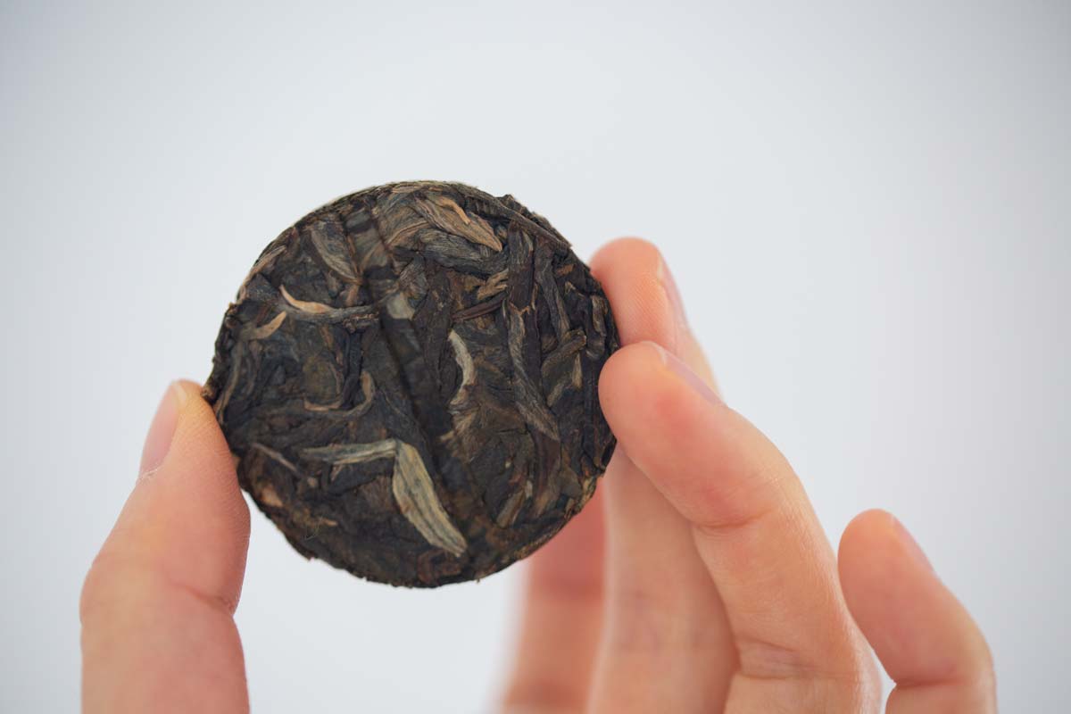 greatest hits gushu sheng puer tea 8 | BITTERLEAF TEAS