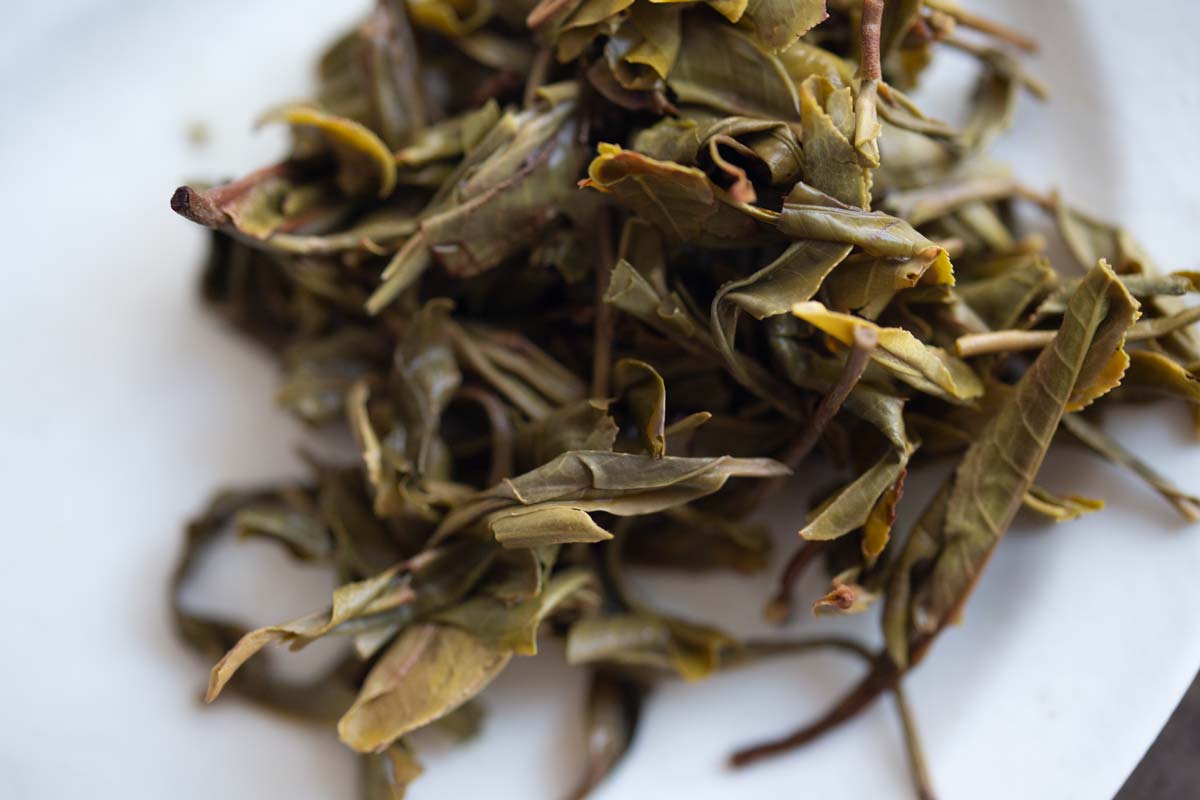 priceless 2020 bulang raw puer 10 | BITTERLEAF TEAS priceless 2020 bulang raw puer 10 | BITTERLEAF TEAS