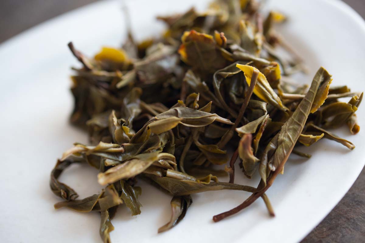 priceless 2020 bulang raw puer 9 | BITTERLEAF TEAS priceless 2020 bulang raw puer 9 | BITTERLEAF TEAS