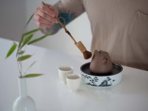 twig pot brush 1 | BITTERLEAF TEAS